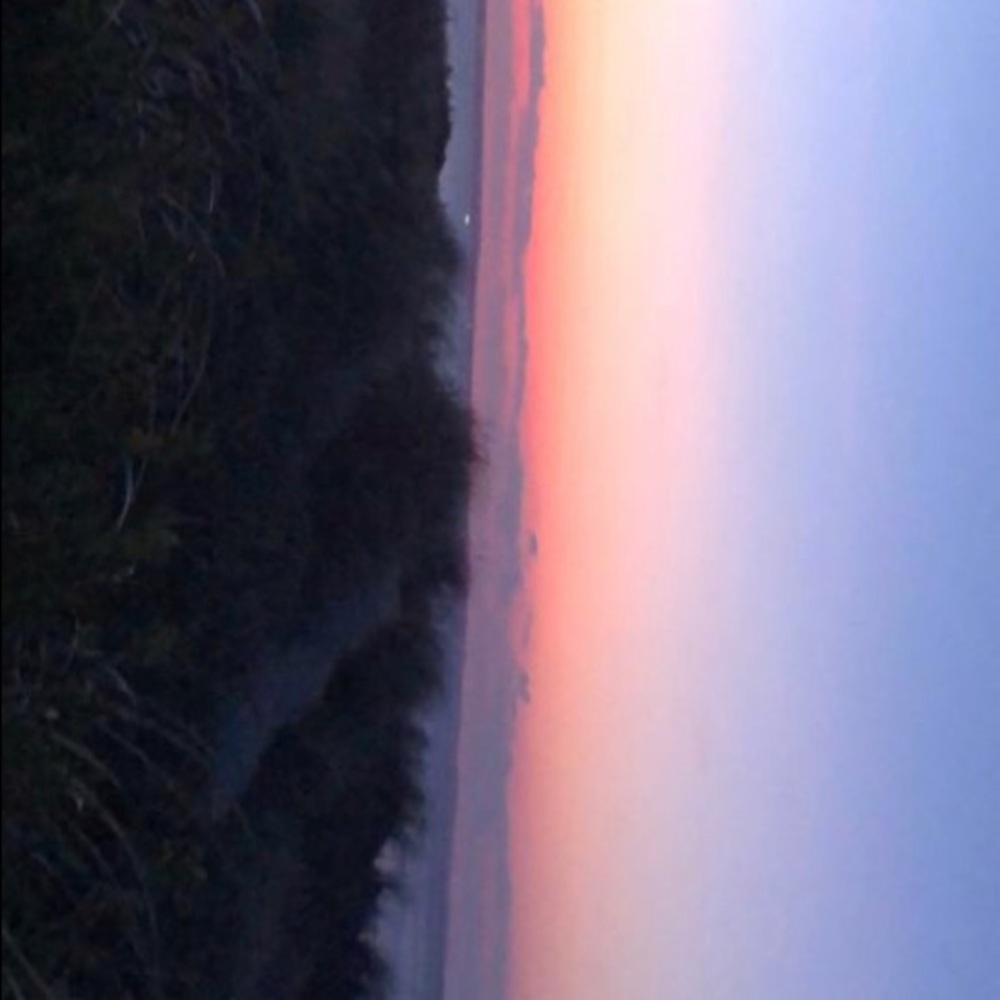 Meet your Posher, Rylie